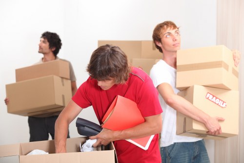 Organised storage boxes and furniture in Balham