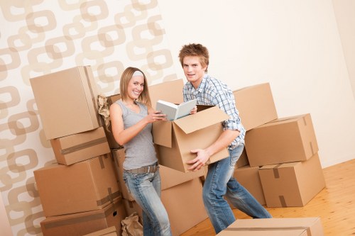 Packing supplies and labeled boxes for Balham removals